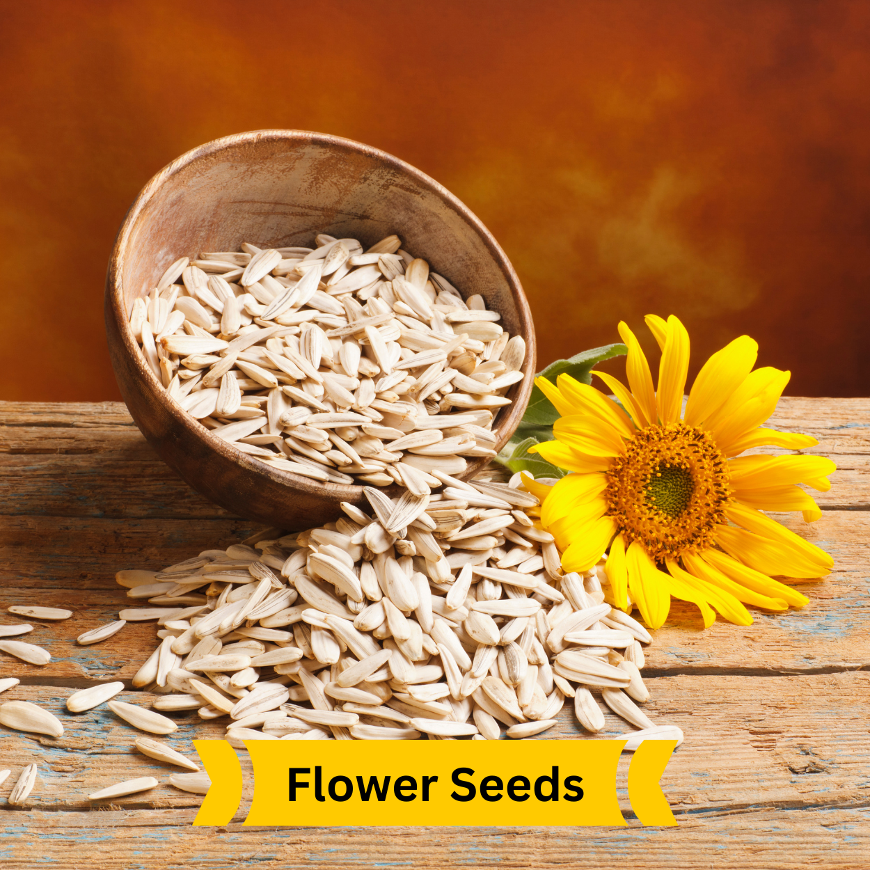 flower seeds