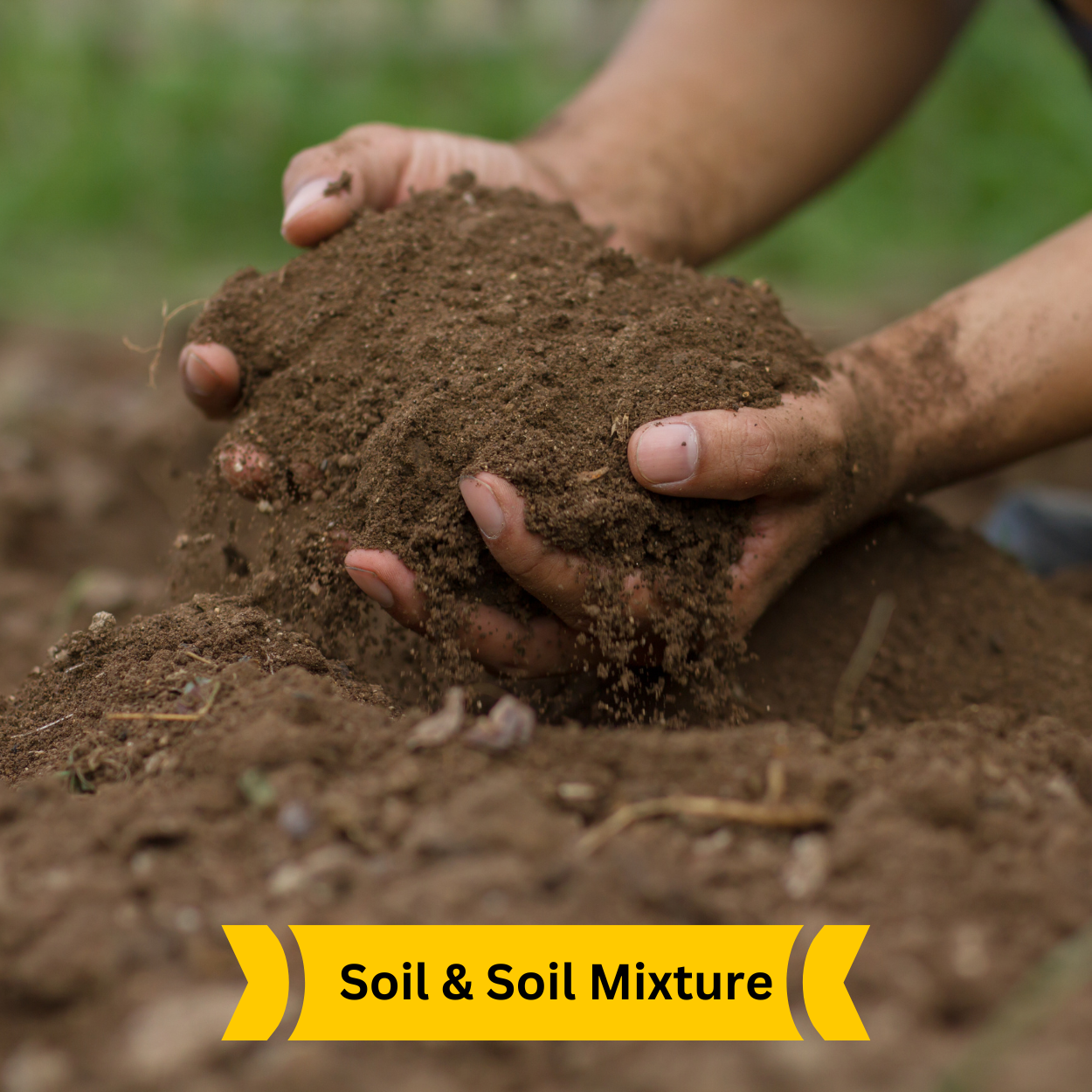 soil & Soil Mixture